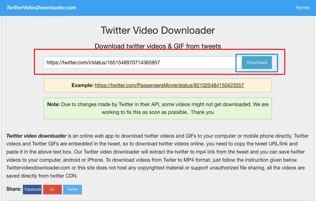 Download Private Twitter Video